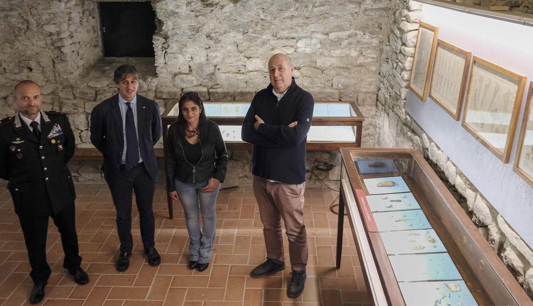 https://www.lanazione.it/image-service/view/acePublic/alias/contentid/YzlkMDdjYzUtZjU4OC00/0/arte-mostra-permanente-di-reperti-archeologici.jpeg
