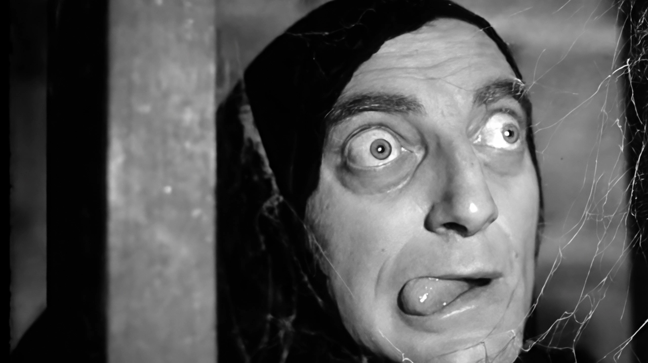 «Frankenstein junior» di Mel Brooks è una delle pellicole che saranno proiettate all’Anconella garden in via di Villamagna «Frankenstein junior» di Mel Brooks è una delle pellicole che saranno proiettate all’Anconella garden in via di Villamagna