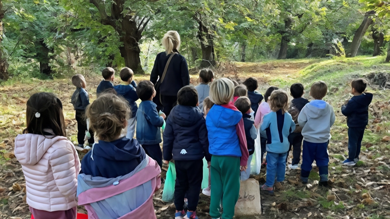 Bambini della Scuola dell’Infanzia Paritaria di Avenza vivono un'esperienza autunnale nella natura, imparando sulla raccolta delle castagne. Iniziative educative e informativa per i genitori. Bambini della Scuola dell’Infanzia Paritaria di Avenza vivono un'esperienza autunnale nella natura, imparando sulla raccolta delle castagne. Iniziative educative e informativa per i genitori.