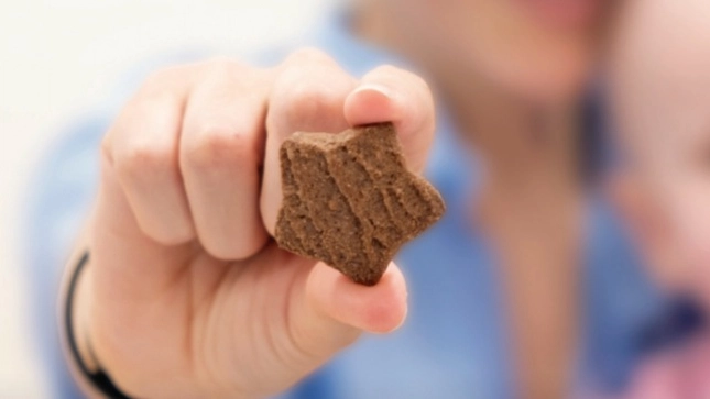 Biscotti solidali