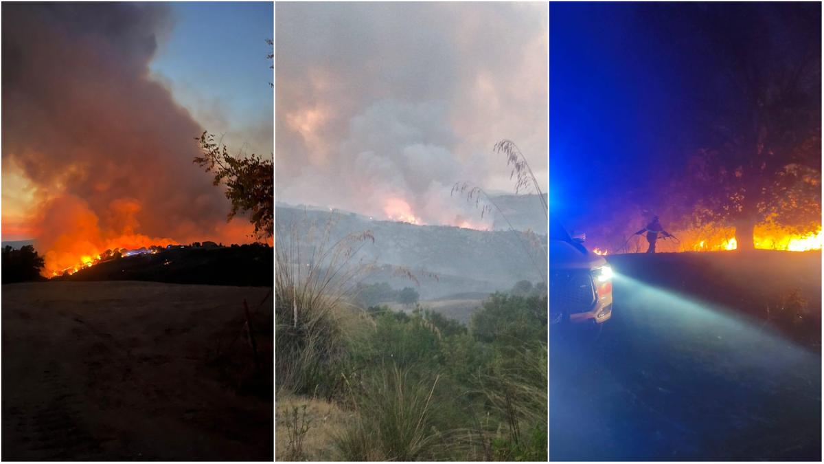 inferno in maremma non si ferma l8217incendio a cana in fumo oltre 500 ettari turisti in fuga dagli agriturismi