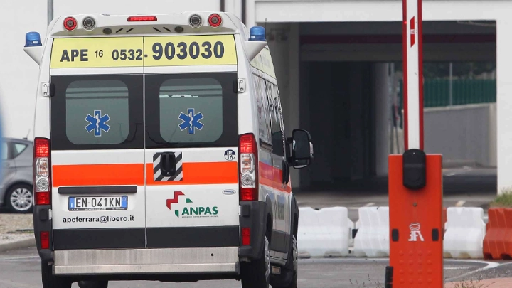 Pisa, morsa al volto dal rottweiler di famiglia: minuti di terrore, è in ospedale