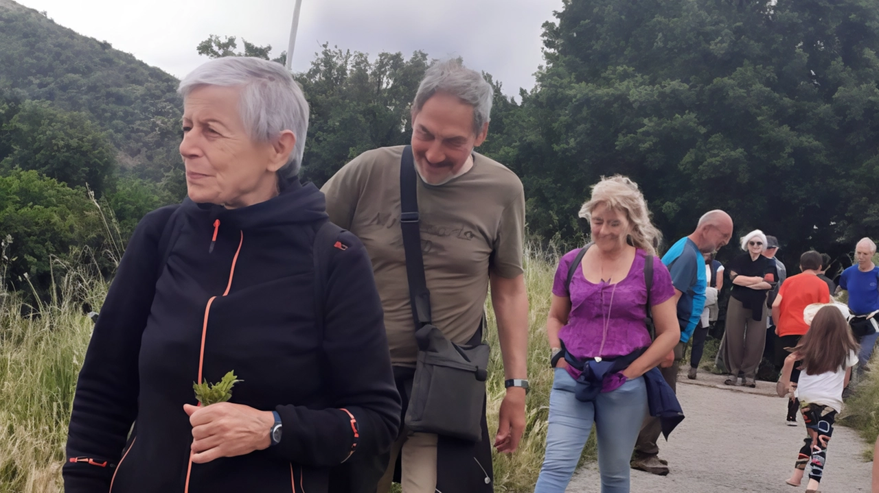Camminare. insieme con il Gruppo Passeggiate tra storia e natura de la Querce Camminare. insieme con il Gruppo Passeggiate tra storia e natura de la Querce