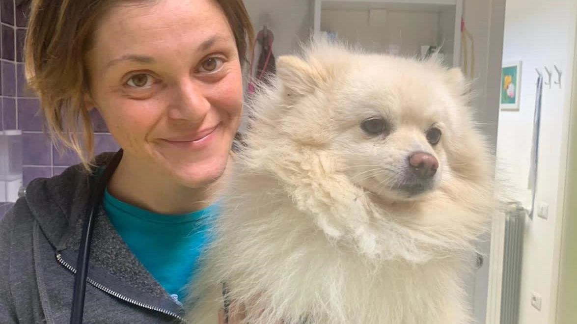 Eleonora Tosca, medico veterinario, ha lavorato a lungo ad Agliana e ci ricorda le regole di convivenza Eleonora Tosca, medico veterinario, ha lavorato a lungo ad Agliana e ci ricorda le regole di convivenza