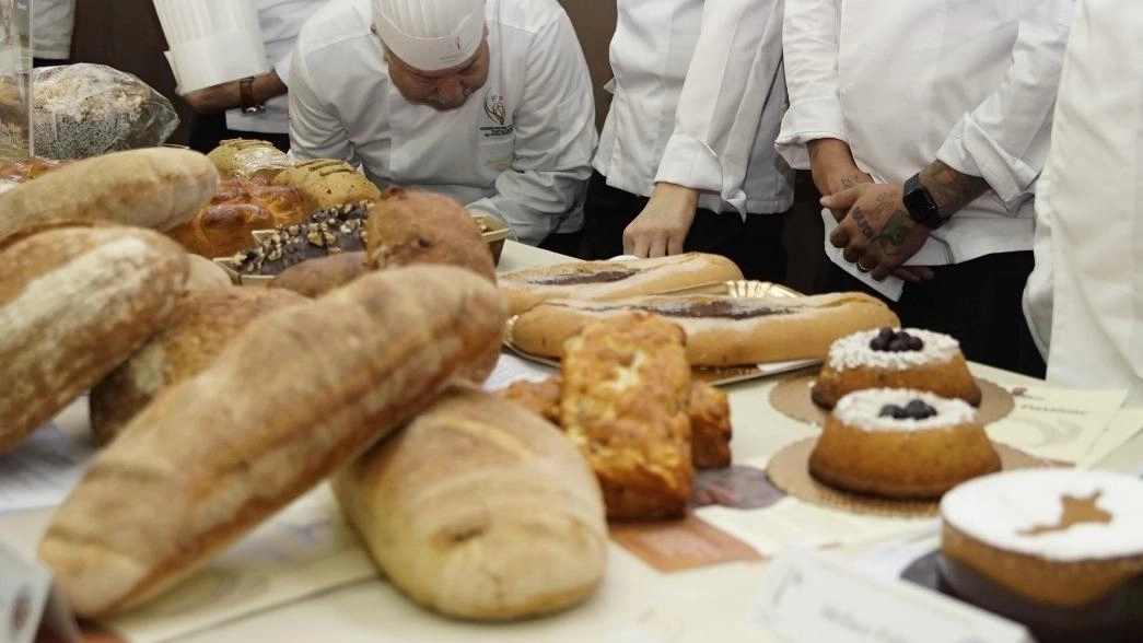 Ampio consenso a partecipazione per. le gare tra chef, pasticceri, pizzaioli, gelatieri. Quest’anno anche. la cucina per i più piccini Ampio consenso a partecipazione per. le gare tra chef, pasticceri, pizzaioli, gelatieri. Quest’anno anche. la cucina per i più piccini
