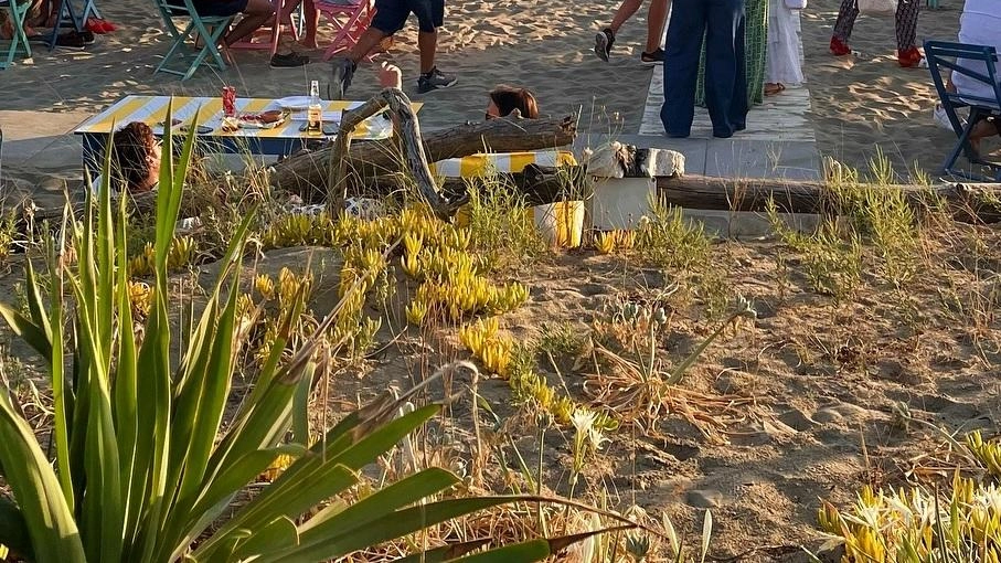 Per l’arenile attrezzato di levante l’effidamento pare ormai scontato alla Blue lion Food srl mentre per la spiaggia di ponente il colpo di scena con l’esclusione della prima. classificata: la Cometa Service Per l’arenile attrezzato di levante l’effidamento pare ormai scontato alla Blue lion Food srl mentre per la spiaggia di ponente il colpo di scena con l’esclusione della prima. classificata: la Cometa Service