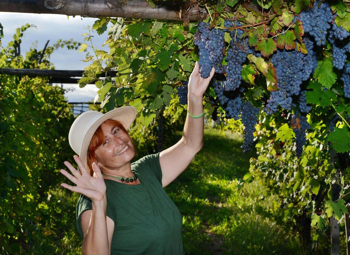 A settembre, turismo in campagna. Ottime le previsioni di Coldiretti: "Attira il profumo della vendemmia" A settembre, turismo in campagna. Ottime le previsioni di Coldiretti: "Attira il profumo della vendemmia"
