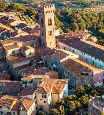 Tra vigne e oliveti. La bella Montecarlo Tra vigne e oliveti. La bella Montecarlo