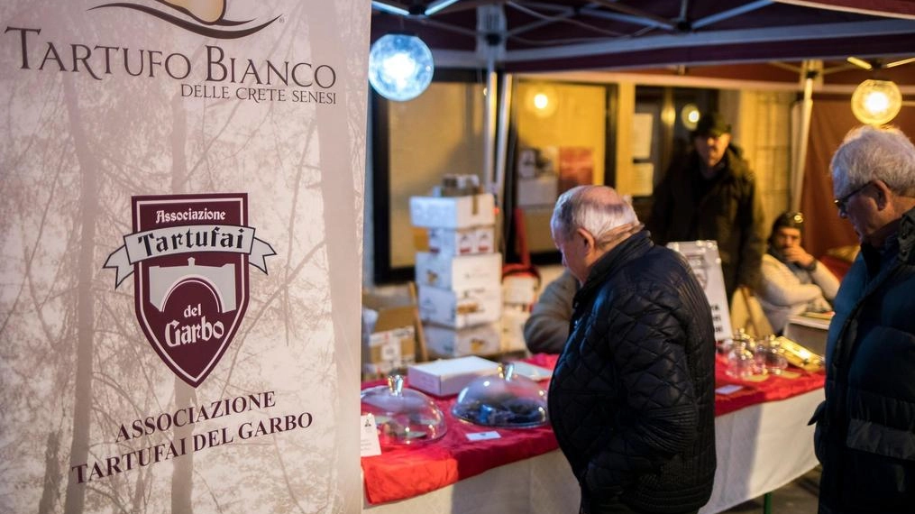 Oggi e domani due giorni dedicati al tartufo ad Asciano Oggi e domani due giorni dedicati al tartufo ad Asciano