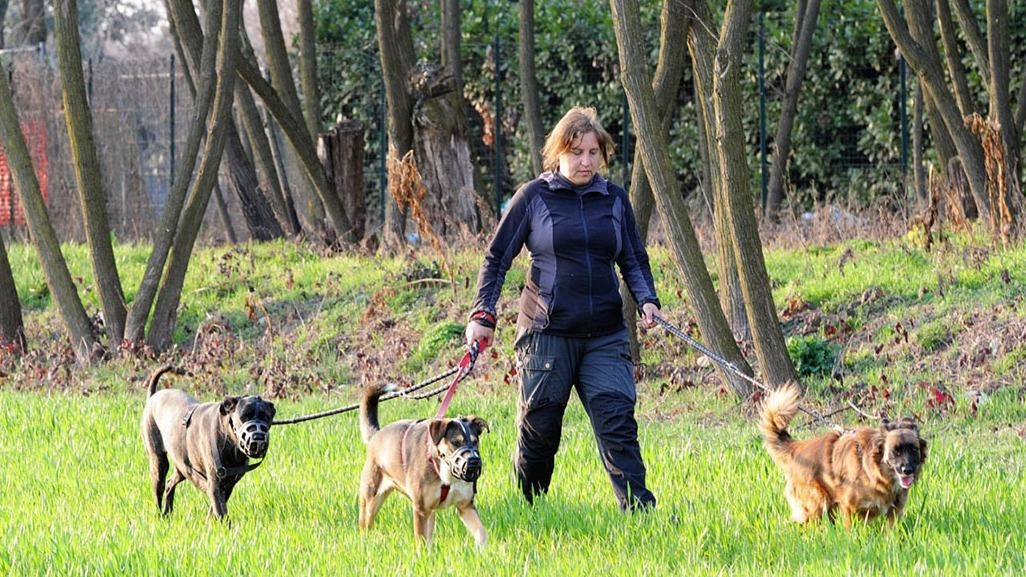 Carlo Ciceroni, veterinario comportamentalista, è anche perito del tribunale di Firenze e esperto di cani