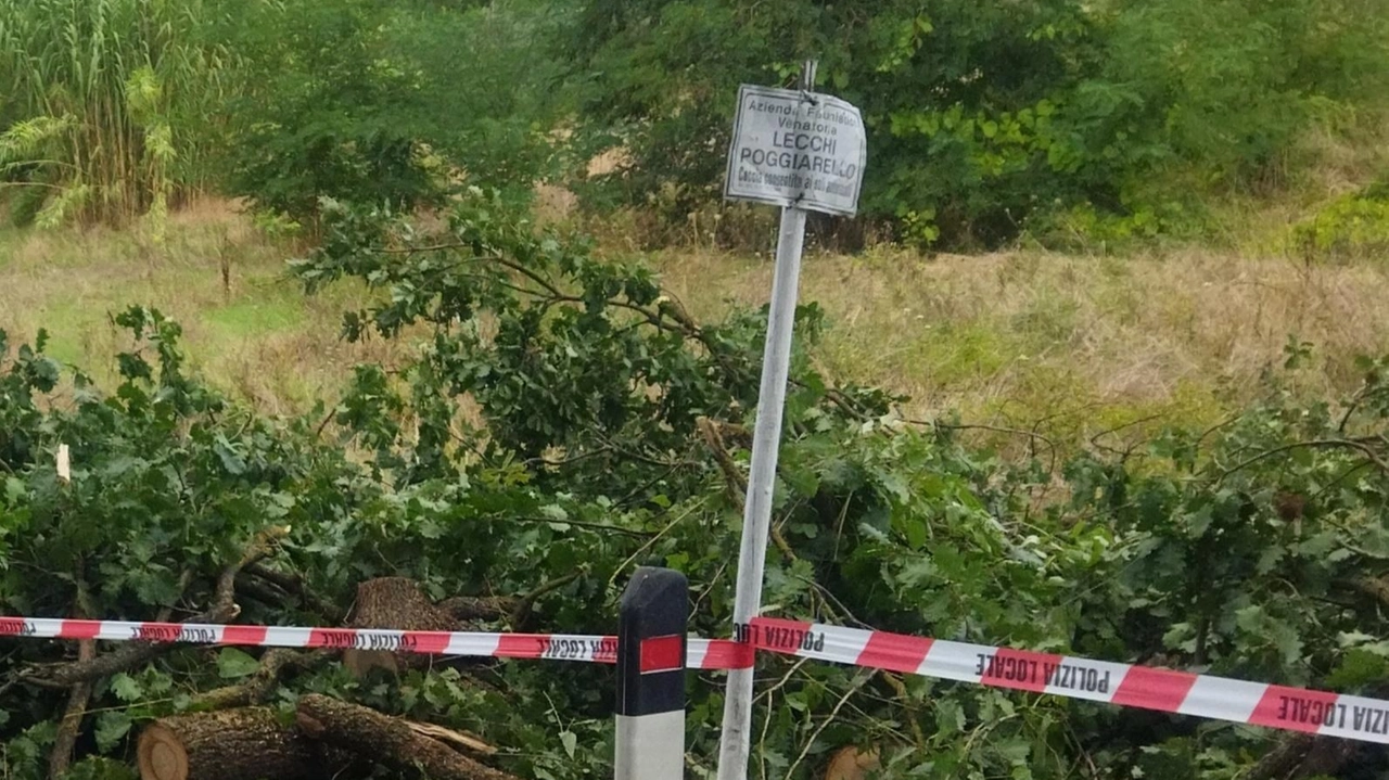 Maltempo in Valdelsa: albero pericolante causa intervento vigili del fuoco e chiusura strada a Lecchi. Disagi anche ad Poggibonsi, ma situazione sotto controllo. Pioggia a Montepulciano interrompe concerto, nessun danno. Maltempo in Valdelsa: albero pericolante causa intervento vigili del fuoco e chiusura strada a Lecchi. Disagi anche ad Poggibonsi, ma situazione sotto controllo. Pioggia a Montepulciano interrompe concerto, nessun danno.