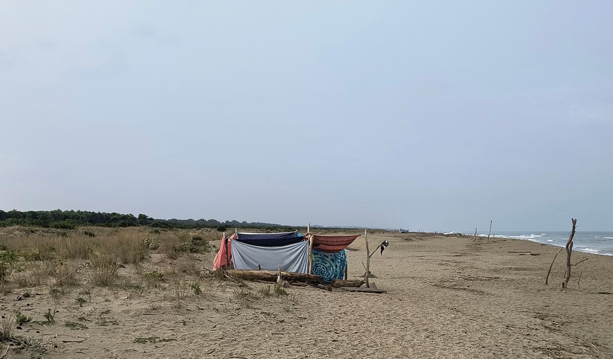 https://www.lanazione.it/image-service/view/acePublic/alias/contentid/ZDE2MGRiODgtYTMxMS00/0/una-tenda-nella-spiaggia-del-parco-di-san-rossore.jpeg?f=1.91:1&w=1200