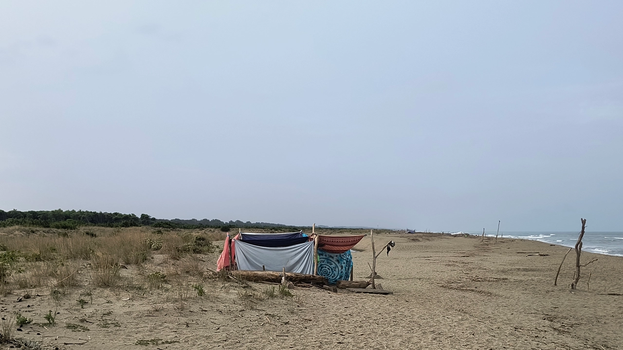 Una tenda nella spiaggia del Parco di San Rossore