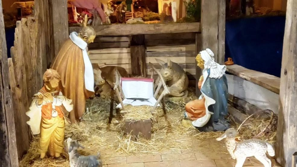 Il presepio in Duomo a Castelnuovo Il presepio in Duomo a Castelnuovo