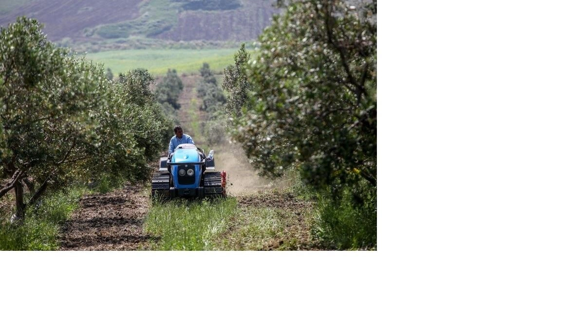 Parco Agricolo della Piana: due giorni di dibattito e conoscenza. Anche i territori dei Comuni Medicei, Carmignano e Poggio a... Parco Agricolo della Piana: due giorni di dibattito e conoscenza. Anche i territori dei Comuni Medicei, Carmignano e Poggio a...