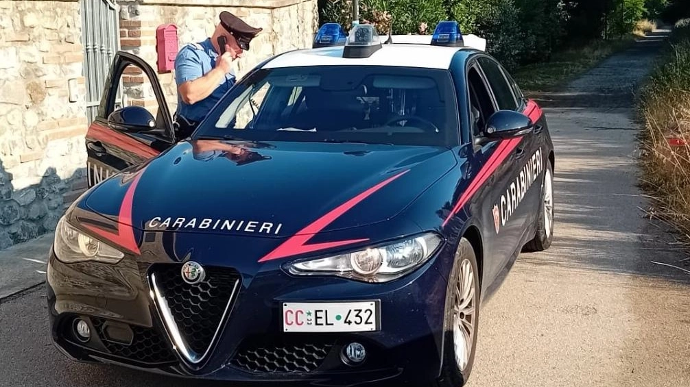Una pattuglia dei carabinieri. Sono loro ad indagare sulle cause della morte (Foto di repertorio)