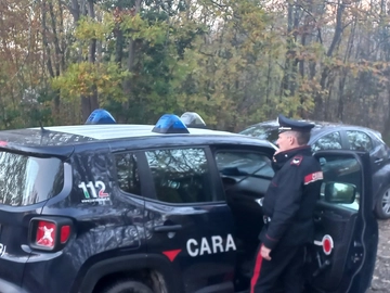 immagine articolo