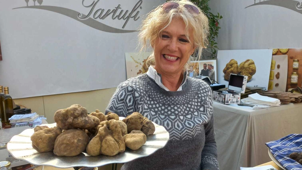 Raccolta avara per le pepite dei boschi di San Miniato a causa delle troppe piogge delle ultime settimane Raccolta avara per le pepite dei boschi di San Miniato a causa delle troppe piogge delle ultime settimane