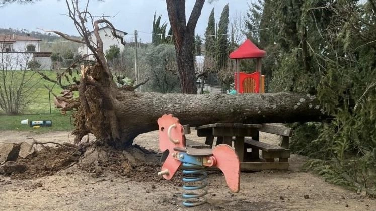 AREZZO Sebbene il maltempo che ha colpito la Toscana non si sia abbattuto su Arezzo con la stessa intensità registrata... AREZZO Sebbene il maltempo che ha colpito la Toscana non si sia abbattuto su Arezzo con la stessa intensità registrata...