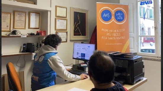 Avis di Foiano della Chiana