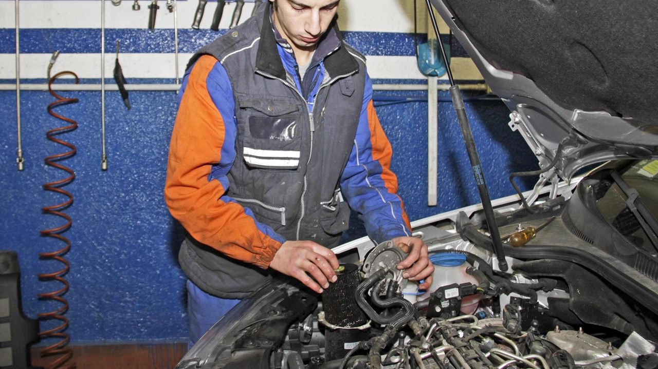 Il Centro per l'impiego di Massa Carrara offre opportunità di lavoro in diversi settori, tra cui programmatori, elettricisti, saldatori, carpentieri e cuochi. Per informazioni e candidature, visitare il sito web indicato. Il Centro per l'impiego di Massa Carrara offre opportunità di lavoro in diversi settori, tra cui programmatori, elettricisti, saldatori, carpentieri e cuochi. Per informazioni e candidature, visitare il sito web indicato.
