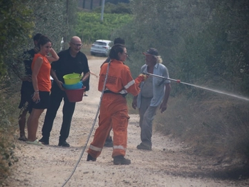 immagine articolo