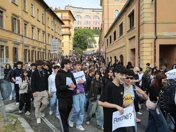 immagine articolo