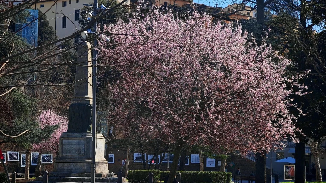Il Piazzale sarà oggetto di importanti interventi di riqualificazione, oltre alla sostituzione dei corpi illuminanti verrà anche ripristinata la pavimentazione