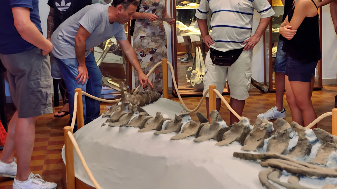 Il progetto della sindaca Sereni prevede la trasformazione dell’ambulatorio abbandonato dell’Asl. Un intervento condotto con la Soprintendenza che sta portando anche a ritrovamenti eccezionali . .