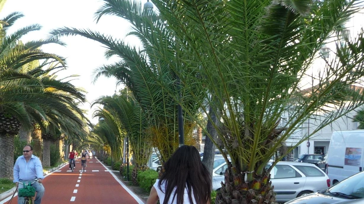 Il Comune ha avviato un ampio progetto di potenziamento delle ciclabili sia per collegare la costa al centro storico sia nella frazione di Lido di Camaiore anche nell’ottica di incentivare il turismo che cerca mobilità dolce Il Comune ha avviato un ampio progetto di potenziamento delle ciclabili sia per collegare la costa al centro storico sia nella frazione di Lido di Camaiore anche nell’ottica di incentivare il turismo che cerca mobilità dolce