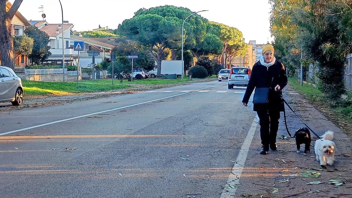 Una veduta del quartiere di San Luigi i cui residenti vogliono costituire un Comitato che li rappresenti Una veduta del quartiere di San Luigi i cui residenti vogliono costituire un Comitato che li rappresenti