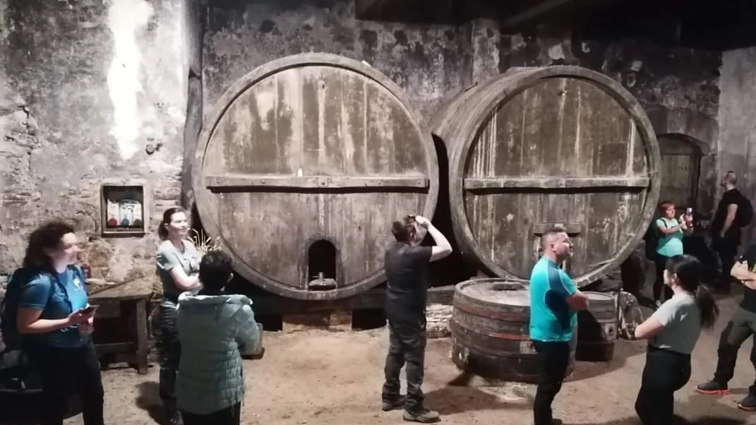 Aprono di nuovo le porte a visitatori e turisti, aggiungendo ai vini prelibati anche degustazioni di castagne e il fascino del foliage autunnale Aprono di nuovo le porte a visitatori e turisti, aggiungendo ai vini prelibati anche degustazioni di castagne e il fascino del foliage autunnale