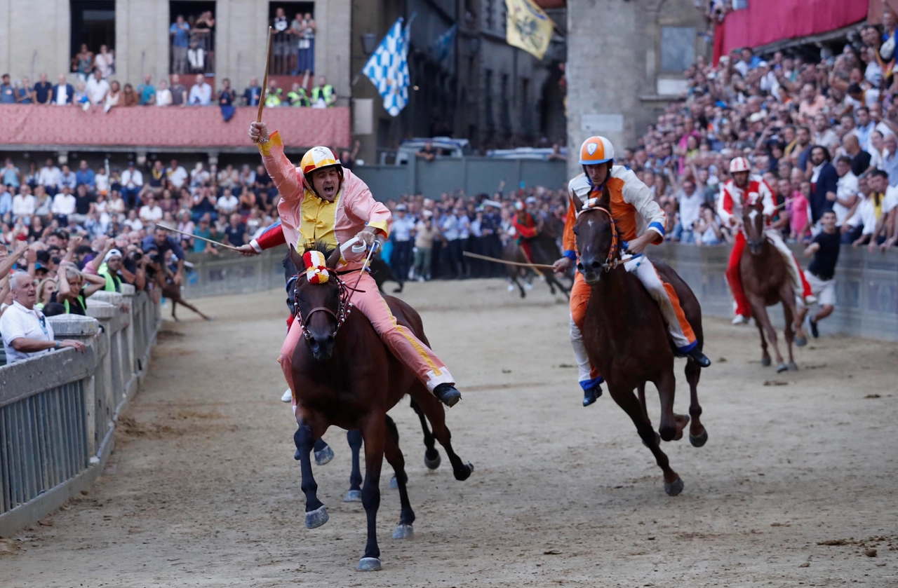 immagine di sfondo 14