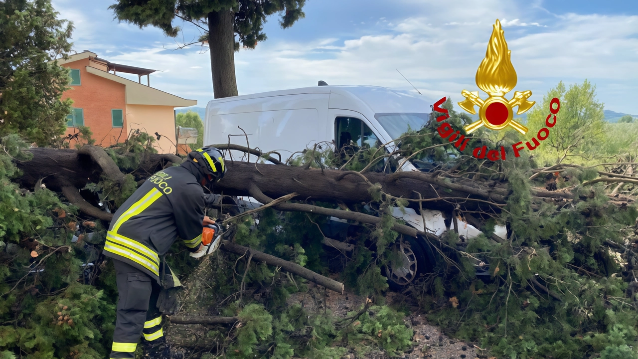 L’albero caduto a Fontanella domenica: immediato l’intervento dei pompieri L’albero caduto a Fontanella domenica: immediato l’intervento dei pompieri
