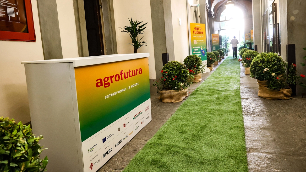 Palazzo Strozzi Sacrati, l'allestimento verde per il festival Agrofutura