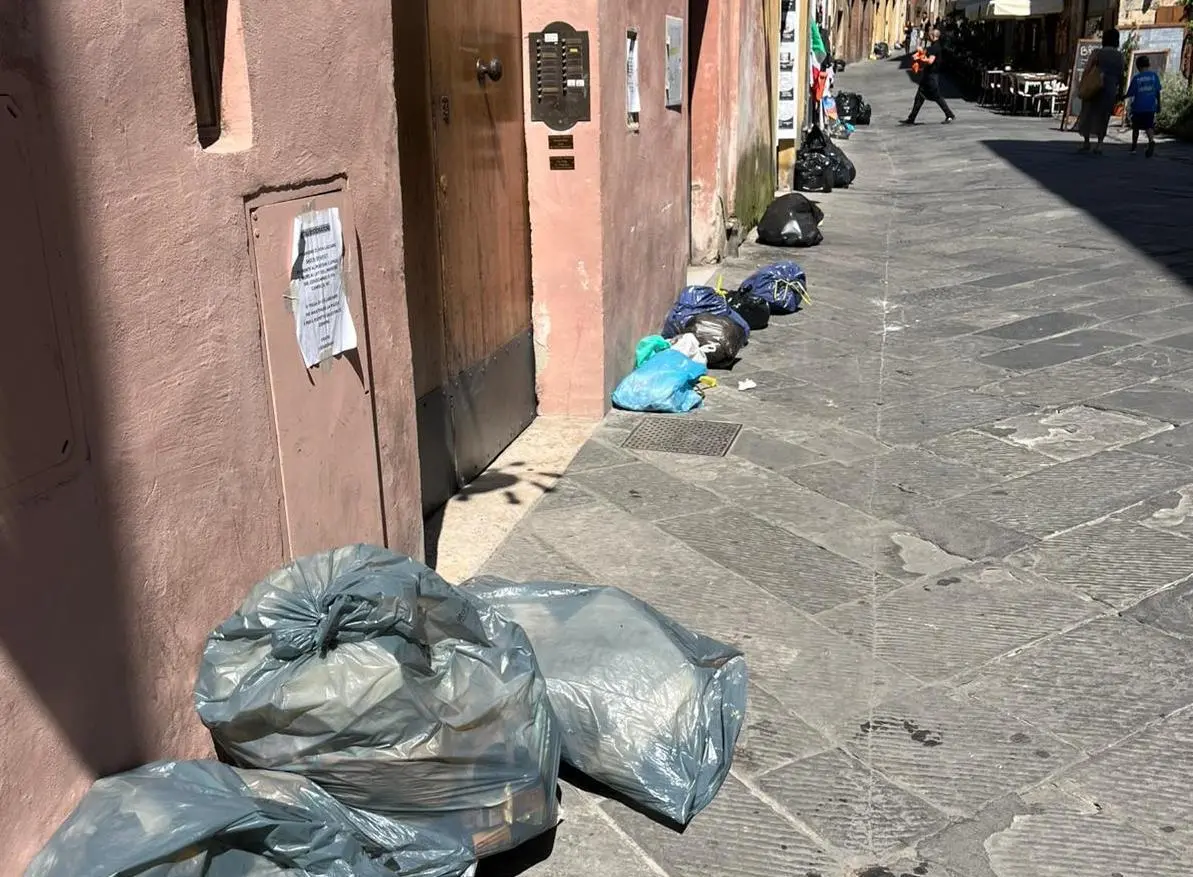 Raccolta porta a porta in ritardo: "Alle 12 rifiuti ancora in strada"