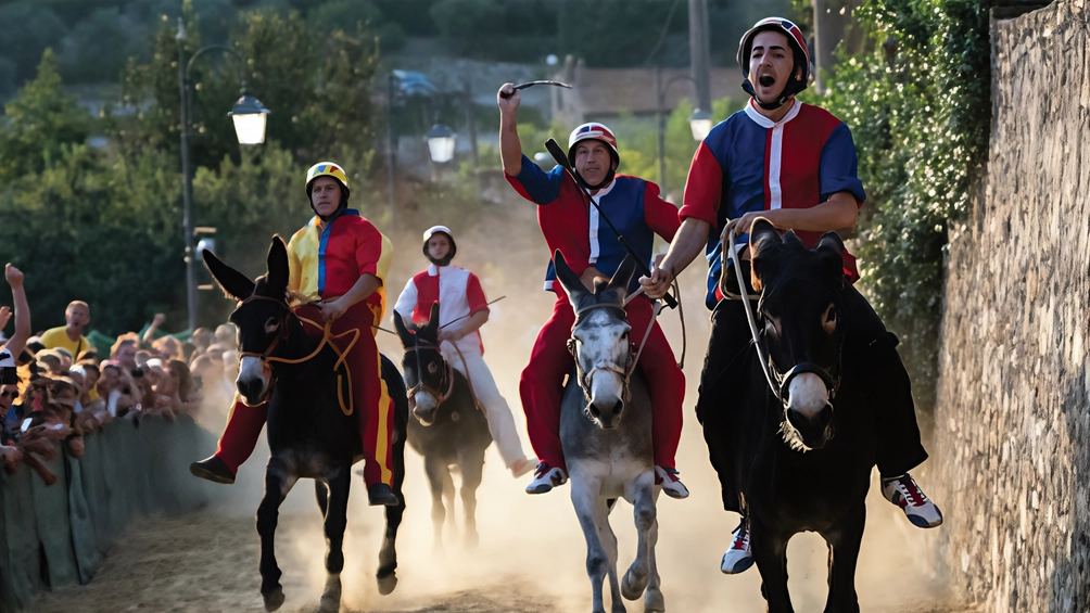 Le quattro Contrade di Campagnatico si sfideranno domenica 14 nel tradizionale palio dei ciuchi. Ma gli eventi collaterali inizieranno già lunedì Le quattro Contrade di Campagnatico si sfideranno domenica 14 nel tradizionale palio dei ciuchi. Ma gli eventi collaterali inizieranno già lunedì