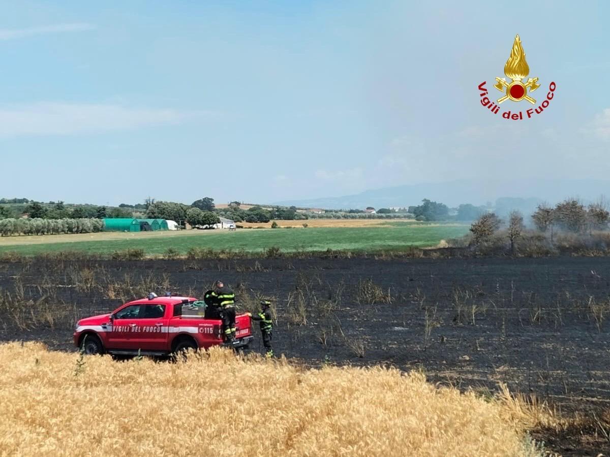 Campo in fiamme a Casalecci, timori per la vicinanza di case e di un deposito di idrocarburi Campo in fiamme a Casalecci, timori per la vicinanza di case e di un deposito di idrocarburi