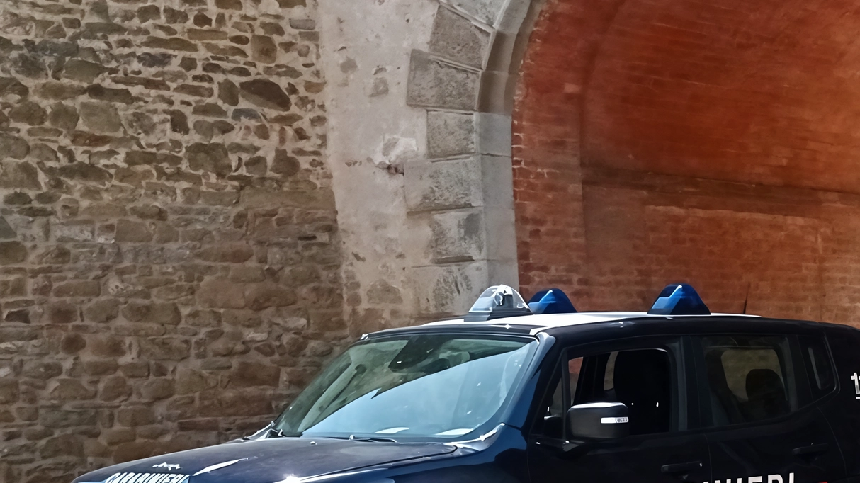 Indagini condotte dai carabinieri Indagini condotte dai carabinieri