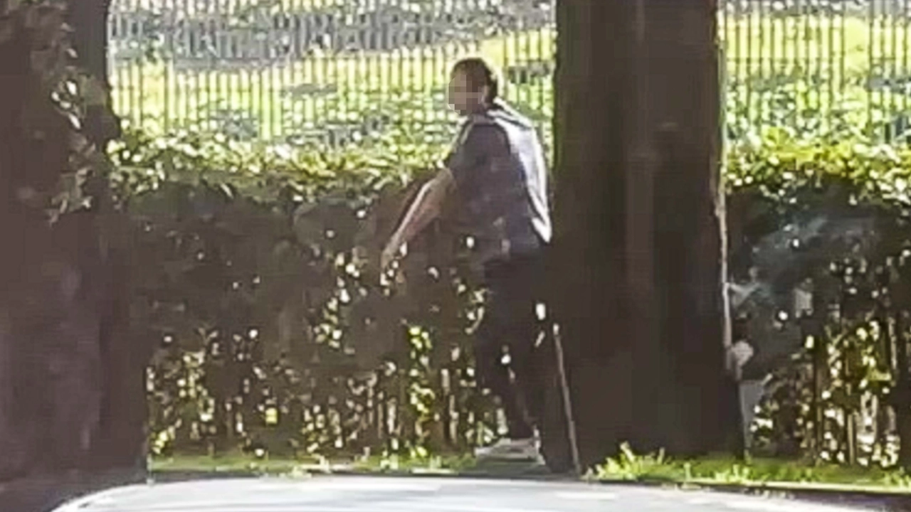 Un fermo immagine del fenomeno dello spaccio e dell'assunzione di droga nel parco della Rimembranza (© Fotocronache Germogli) Un fermo immagine del fenomeno dello spaccio e dell'assunzione di droga nel parco della Rimembranza (© Fotocronache Germogli)