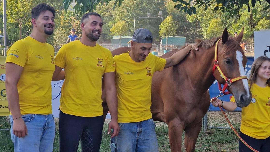 il leon d8217oro e la linea verde la forza del lavoro dei giovani ora il livello dei top 232 vicino