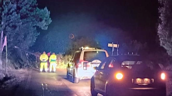 Alberi sradicati e problemi ai sottopassi anche nella zona del Chiarone (Capalbio). Strade interrotte per la caduta di piante, compresa quella della Giannella . Alberi sradicati e problemi ai sottopassi anche nella zona del Chiarone (Capalbio). Strade interrotte per la caduta di piante, compresa quella della Giannella .