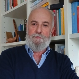Maurizio Matteo Guccione, Giornalista La Nazione