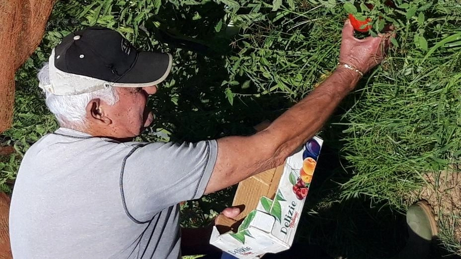 Il presidente della Cia Agricoltori Ferrante torna a lanciare il suo allarme "Ci vogliono supporti da parte della Regione, altrimenti non si va avanti". Il presidente della Cia Agricoltori Ferrante torna a lanciare il suo allarme "Ci vogliono supporti da parte della Regione, altrimenti non si va avanti".