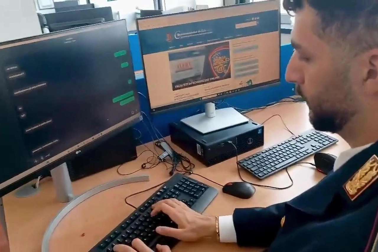 L'operazione che ha smantellato la "rete d'odio" è avvenuta sotto la regia della Digos, la Divisione investigazioni generali e operazioni speciali della polizia