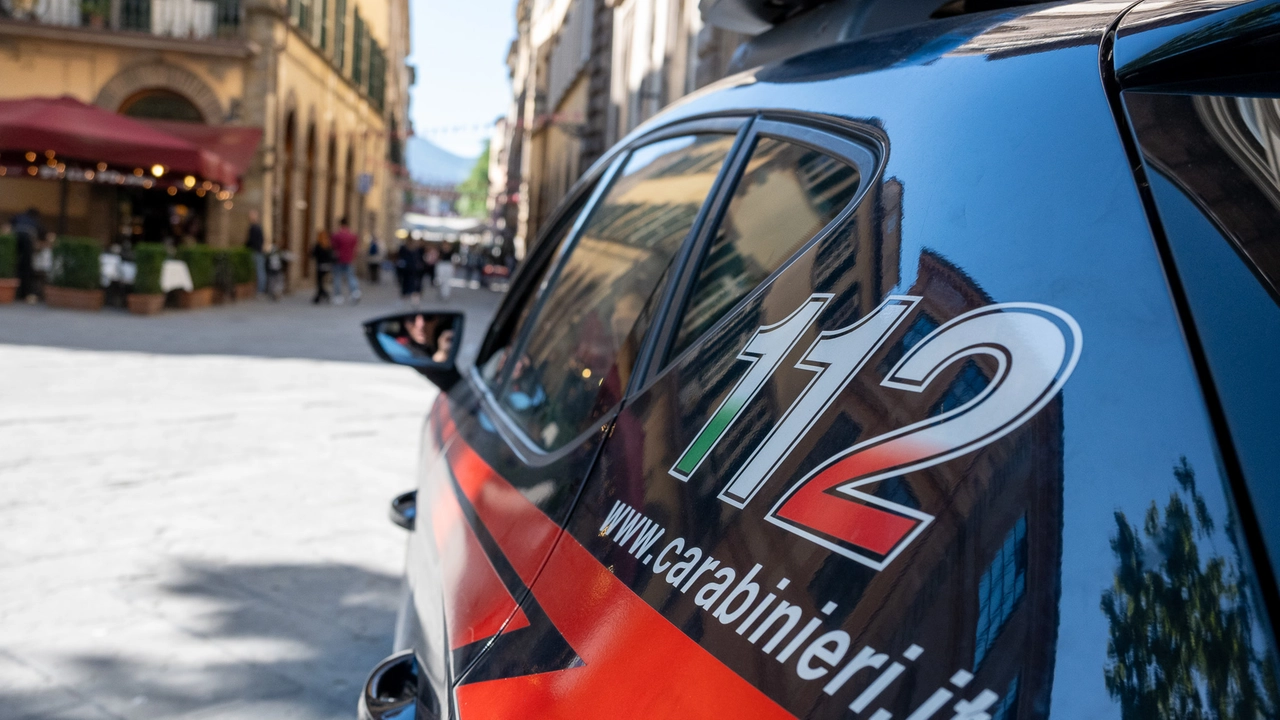 Sul fenomeno indagano i carabinieri Sul fenomeno indagano i carabinieri