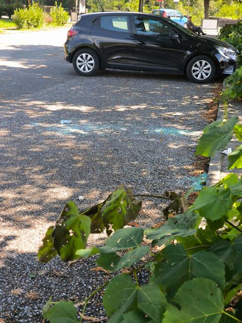 Devastate sei automobili in sosta. “Telecamere, controlli ai raggi X” Devastate sei automobili in sosta. “Telecamere, controlli ai raggi X”