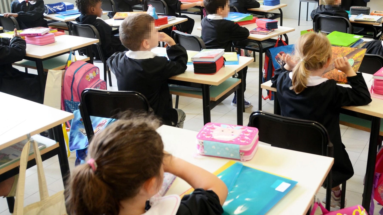 I compagni di classe di Pietro hanno deciso di organizzare un incontro alla scuola primaria Pascoli per presentare il libro; e alla presentazione hanno partecipato anche gli amici della scuola elementare frequentata da Pietro I compagni di classe di Pietro hanno deciso di organizzare un incontro alla scuola primaria Pascoli per presentare il libro; e alla presentazione hanno partecipato anche gli amici della scuola elementare frequentata da Pietro