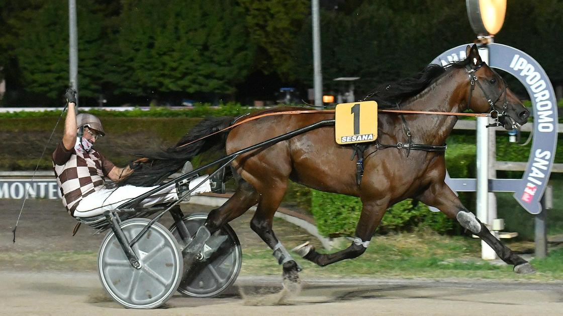 Trionfo nel nome di Sari Del Rosso. Zaccherini vince con Giselle Ors