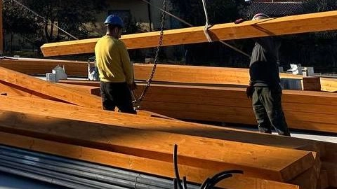 Gli operai al lavoro Gli operai al lavoro